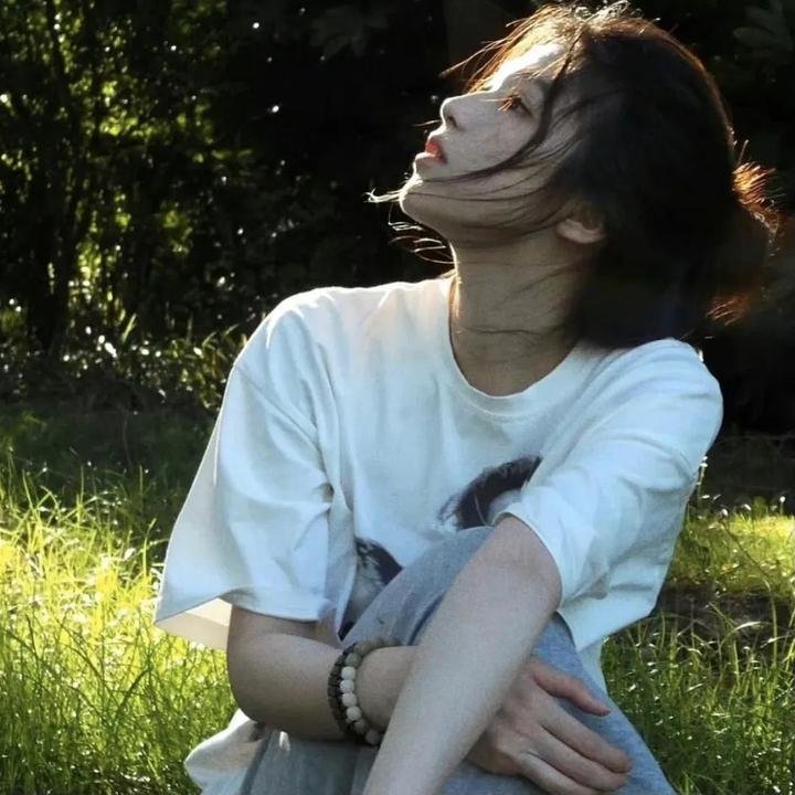 托托的色彩美学观